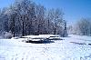 March3SnowOnTrees&Trampoline.jpg